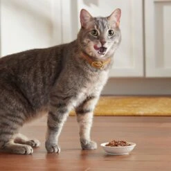 Meow Mix Tender Favorites Poultry & Beef Cat Food Trays Variety Pack -Meow Meals 100237 PT4. AC SS1800 V1670940459