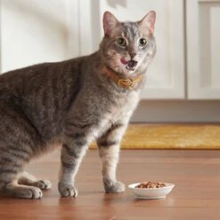Meow Mix Tender Favorites Surf 'N Turf Variety Pack Cat Food Trays -Meow Meals 100241 PT4. AC SS1800 V1670940730