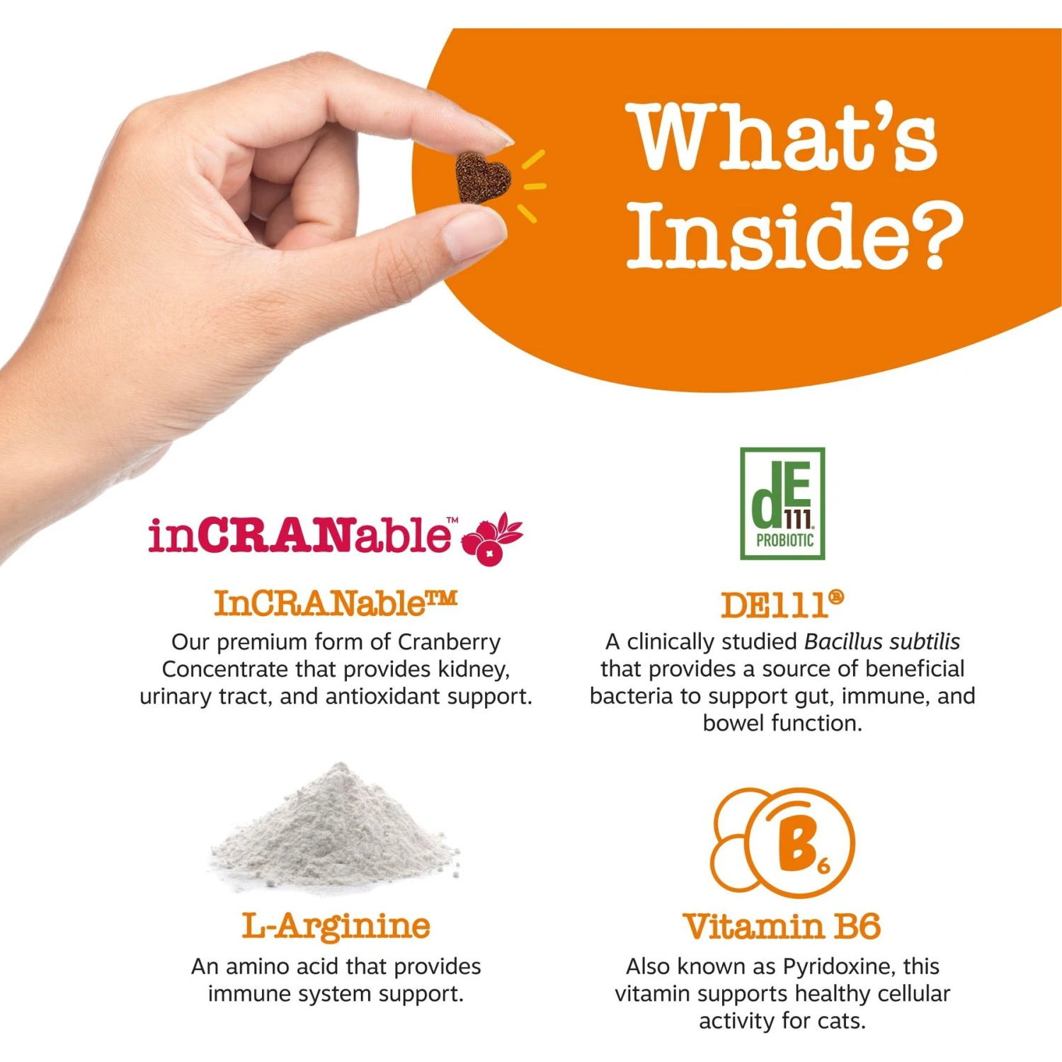 Zesty Paws Cranberry Bladder Bites Bacon Flavored Soft Chews Urinary Supplement For Cats, 60 Count 5 Zesty Paws Cranberry Bladder Bites Bacon Flavored Soft Chews Urinary Supplement For Cats, 60 Count - Image 3