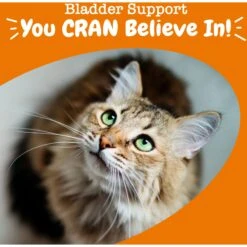 Zesty Paws Cranberry Bladder Bites Bacon Flavored Soft Chews Urinary Supplement For Cats, 60 Count -Meow Meals 1014414 PT3. AC SS1800 V1699288358