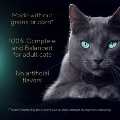 Sheba Gravy Indulgence White Fish Entree In Extra Gravy Grain-Free Adult Wet Cat Food, 2.64-oz Can, Case Of 24 -Meow Meals 1017654 PT3. AC SS1800 V1700599201
