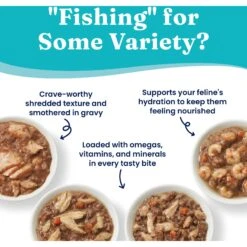 Solid Gold Five Oceans Variety Pack Wet Cat Food, 3-oz Can, Case Of 12 -Meow Meals 1021734 PT3. AC SS1800 V1700681131