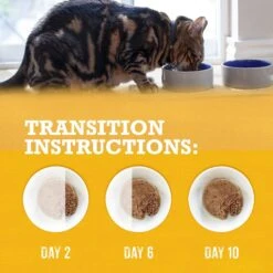 Purina Beyond Grain-Free Pate 3 Flavors Variety Pack Canned Cat Food -Meow Meals 102323 PT7. AC SS1800 V1700162608