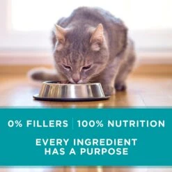 Purina ONE True Instinct Turkey, Chicken & Tuna Variety Pack Canned Cat Food -Meow Meals 102381 PT5. AC SS1800 V1560796129