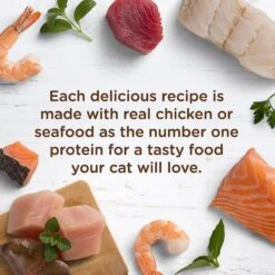 Rachael Ray Nutrish Tuna Purrfection Natural Grain-Free Wet Cat Food -Meow Meals 105377 PT3. AC SS1800 V1535580204