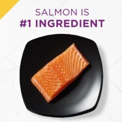 Purina Pro Plan Prime Plus Adult 7+ Salmon & Tuna Entree Classic Canned Cat Food, 3-oz Can, Case Of 24 -Meow Meals 111107 PT2. AC SS1800 V1585863093