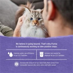 Purina Beyond Cage-Free Turkey, Sweet Potato & Spinach Recipe In Gravy Canned Cat Food -Meow Meals 112047 PT5. AC SS1800 V1700156672