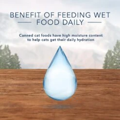 Blue Buffalo Wilderness Pate Kitten Variety Pack With Chicken & Salmon Grain-Free Cat Food -Meow Meals 114188 PT6. AC SS1800 V1601027166