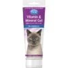 PetAg Vitamin & Mineral Gel Cat Supplement, 3.5-oz Bottle -Meow Meals 118852 MAIN. AC SS1800 V1492446792