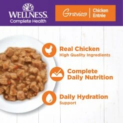 Wellness Natural Grain-Free Gravies Chicken Entrée Canned Cat Food 12 Wellness Natural Grain-Free Gravies Chicken Entrée Canned Cat Food -Meow Meals 118853 PT2. AC SS1800 V1695839057
