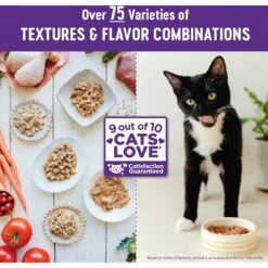 Wellness Natural Grain-Free Gravies Chicken Entrée Canned Cat Food 16 Wellness Natural Grain-Free Gravies Chicken Entrée Canned Cat Food -Meow Meals 118853 PT6. AC SS1800 V1695839059