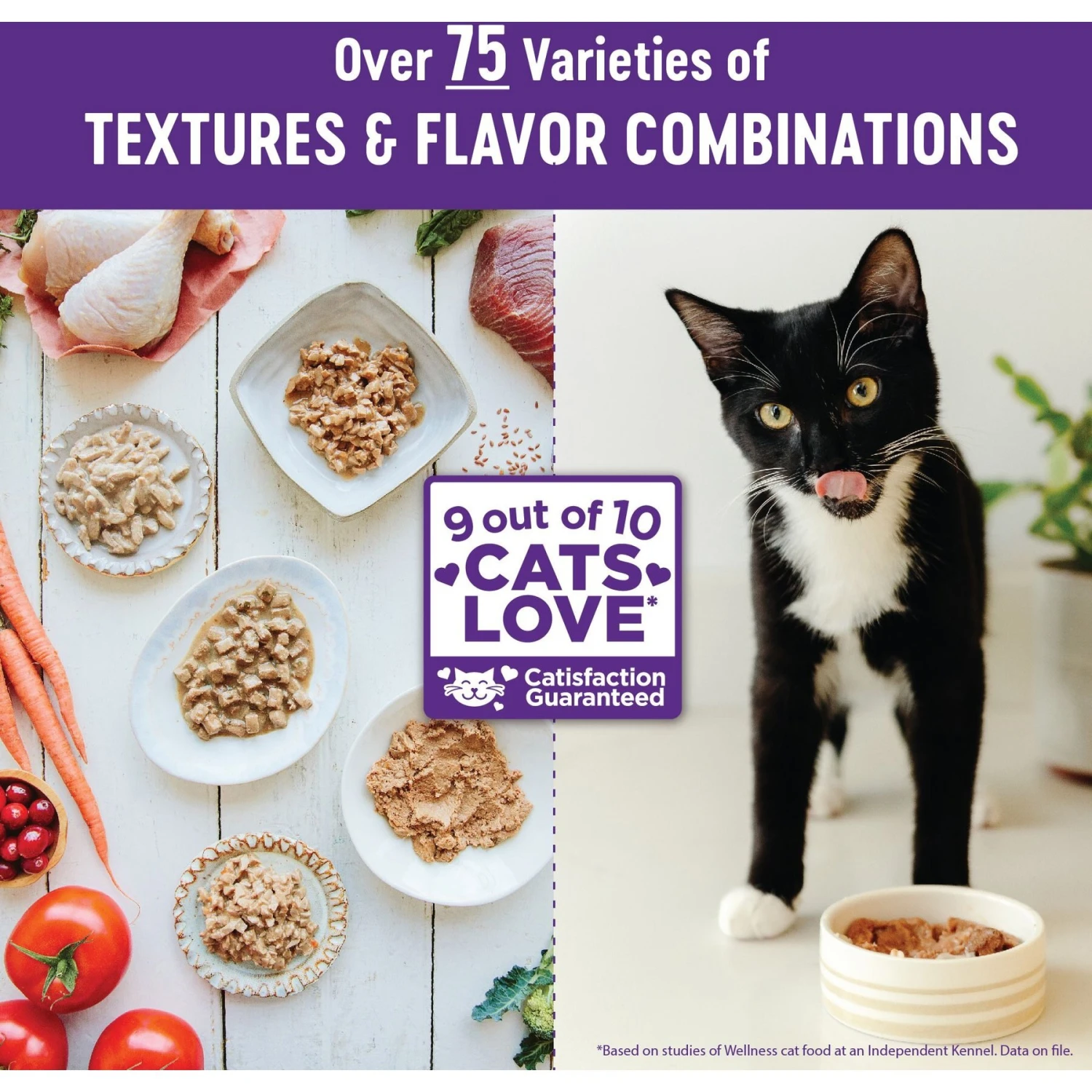 Wellness Natural Grain-Free Gravies Chicken Entrée Canned Cat Food 9 Wellness Natural Grain-Free Gravies Chicken Entrée Canned Cat Food - Image 7