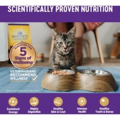 Wellness Natural Grain-Free Gravies Turkey Dinner Canned Cat Food -Meow Meals 118856 PT4. AC SS1800 V1695932478