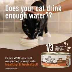 Wellness CORE Natural Grain-Free Turkey & Chicken Liver Pate Canned Kitten Food -Meow Meals 118868 PT3. AC SS1800 V1695846583