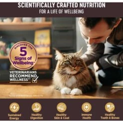 Wellness CORE Natural Grain-Free Turkey & Chicken Liver Pate Canned Kitten Food -Meow Meals 118868 PT4. AC SS1800 V1695847358