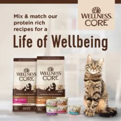 Wellness CORE Natural Grain-Free Turkey & Chicken Liver Pate Canned Kitten Food -Meow Meals 118868 PT7. AC SS1800 V1695827003