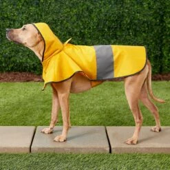 Frisco Lightweight Rainy Days Dog Raincoat -Meow Meals 119208 PT7. AC SS1800 V1540475377