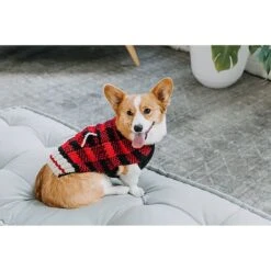 Chilly Dog Buffalo Plaid Dog & Cat Sweater -Meow Meals 121710 PT2. AC SS1800 V1595883355