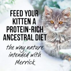 Merrick Backcountry Grain-Free Kitten Recipe Cuts Chicken & Duck In Gravy Cat Food Pouches -Meow Meals 123840 PT7. AC SS1800 V1638038819