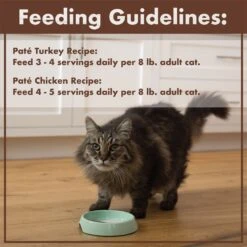 Nutro Perfect Portions Grain-Free Real Turkey & Real Chicken Pate Recipe Variety Pack Adult Wet Cat Food Trays -Meow Meals 128567 PT7. AC SS1800 V1702678672