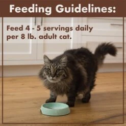 Nutro Perfect Portions Grain-Free Real Salmon & Tuna, Real Chicken & Shrimp Recipe Pate Variety Pack Adult Wet Cat Food Trays -Meow Meals 128569 PT7. AC SS1800 V1702678670