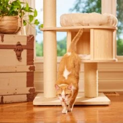 Nutro Perfect Portions Grain-Free Real Turkey & Real Chicken Cuts In Gravy Recipe Variety Pack Adult Wet Cat Food Trays -Meow Meals 128587 PT4. AC SS1800 V1702678350