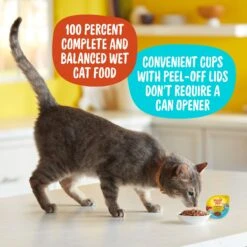 Meow Mix Tender Favorites With Real Tuna & Whole Shrimp In Sauce Cat Food Trays -Meow Meals 130523 PT3. AC SS1800 V1670940734