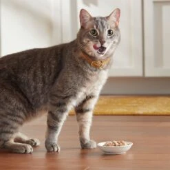 Meow Mix Chunks In Gravy With Real Chicken Breast Wet Cat Food -Meow Meals 130528 PT6. AC SS1800 V1674745091