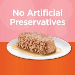 Iams Perfect Portions Healthy Adult Salmon Recipe Pate Grain-Free Wet Cat Food Trays -Meow Meals 131319 PT3. AC SS1800 V1617075158