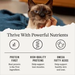 American Journey Pate Chicken Recipe Grain-Free Canned Cat Food -Meow Meals 133925 PT5. AC SS1800 V1689972526