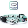 Pawtitas Glow In The Dark Nylon Breakaway Cat Collar With Bell 2 Pawtitas Glow In The Dark Nylon Breakaway Cat Collar With Bell -Meow Meals 134697 MAIN. AC SS1800 V1681321797