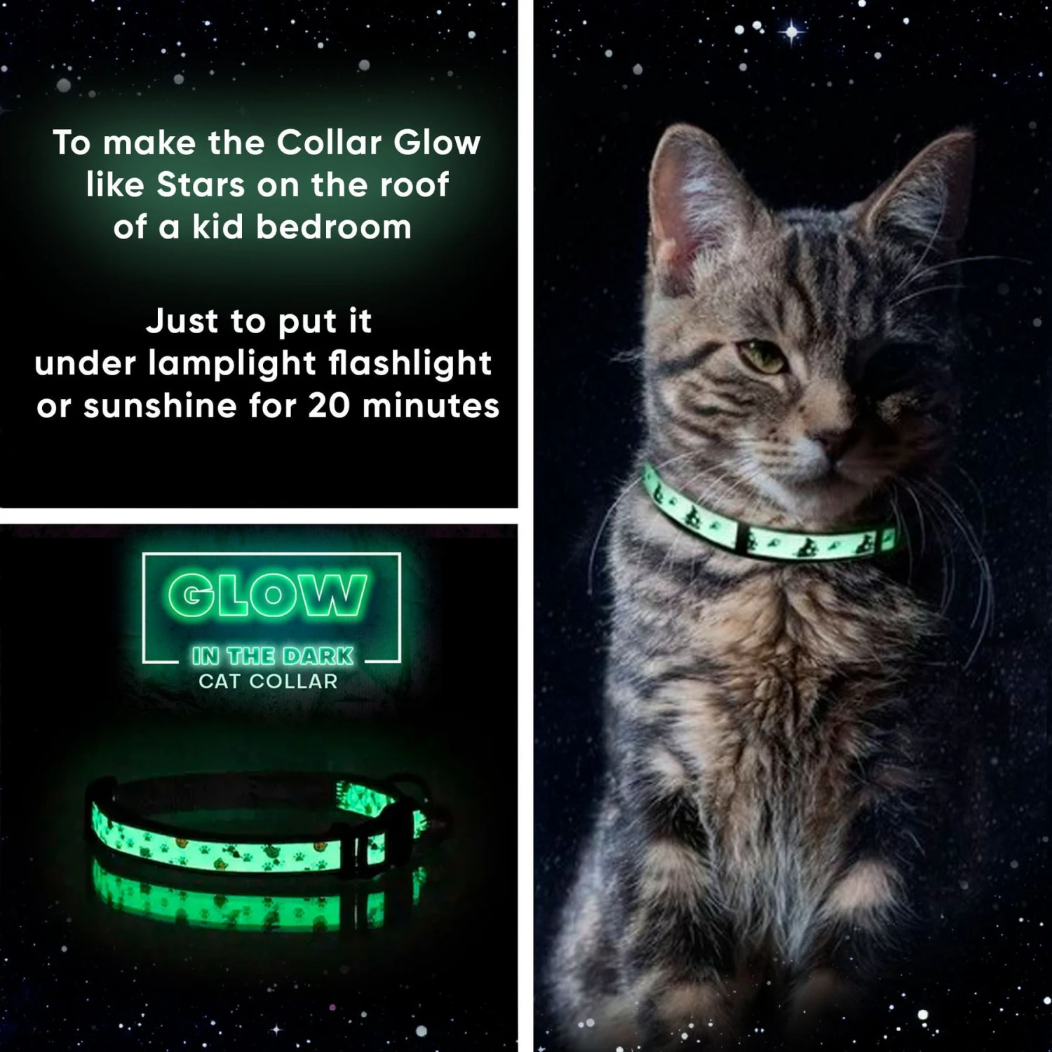 Pawtitas Glow In The Dark Nylon Breakaway Cat Collar With Bell 5 Pawtitas Glow In The Dark Nylon Breakaway Cat Collar With Bell - Image 3