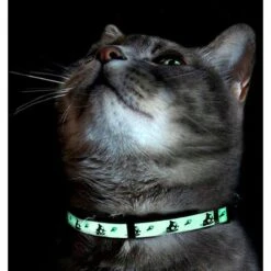 Pawtitas Glow In The Dark Nylon Breakaway Cat Collar With Bell 17 Pawtitas Glow In The Dark Nylon Breakaway Cat Collar With Bell -Meow Meals 134697 PT7. AC SS1800 V1682018519
