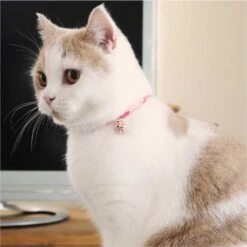 Necoichi Chirimen Clover Breakaway Cat Collar With Bell -Meow Meals 137007 PT6. AC SS1800 V1688753306
