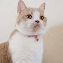 Necoichi Chirimen Clover Breakaway Cat Collar With Bell -Meow Meals 137007 PT7. AC SS1800 V1688751580