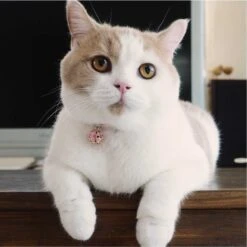 Necoichi Chirimen Clover Breakaway Cat Collar With Bell -Meow Meals 137007 PT8. AC SS1800 V1688753978