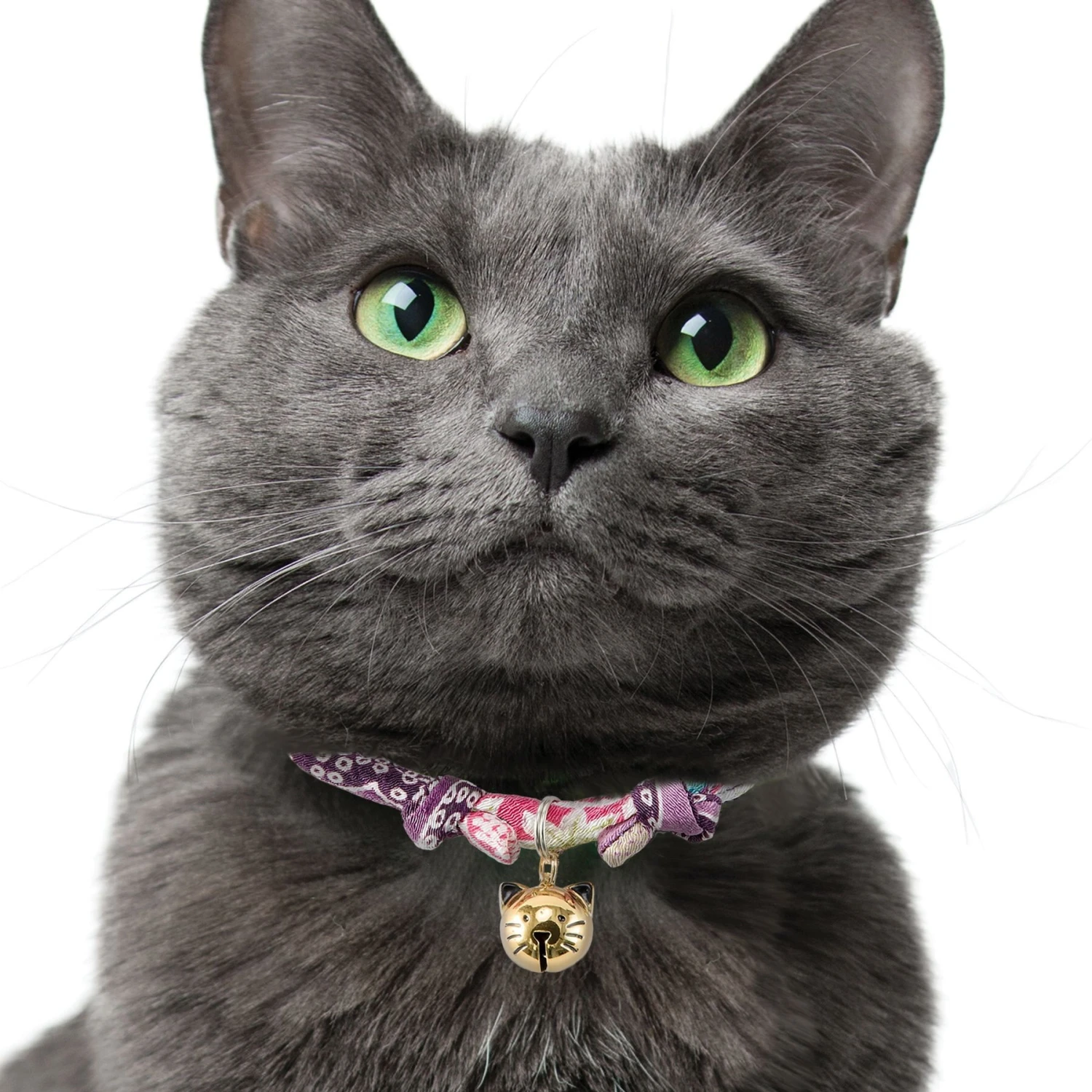 Necoichi Chirimen Fireworks Breakaway Cat Collar With Bell 8 Necoichi Chirimen Fireworks Breakaway Cat Collar With Bell - Image 6