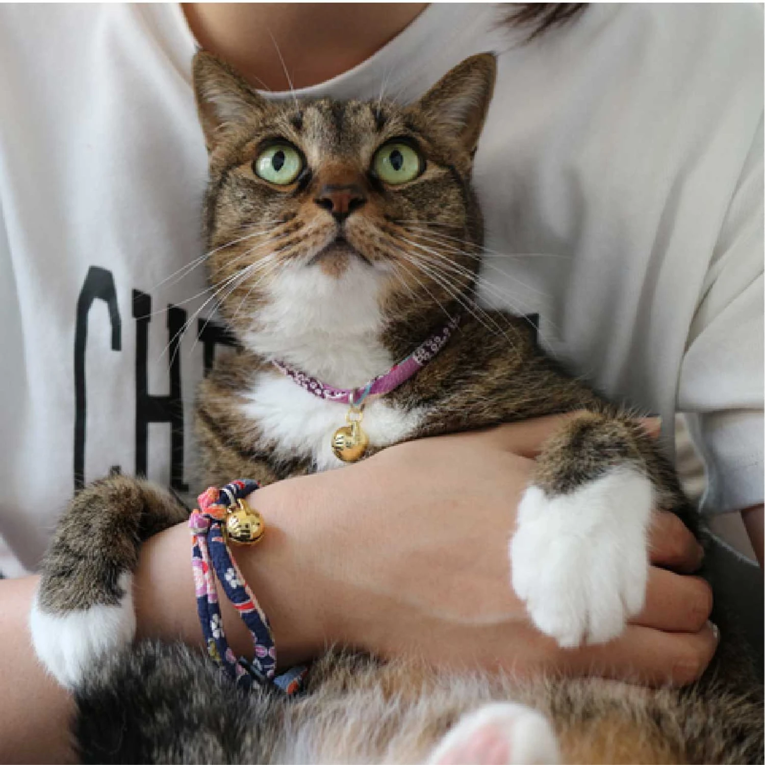 Necoichi Chirimen Fireworks Breakaway Cat Collar With Bell 9 Necoichi Chirimen Fireworks Breakaway Cat Collar With Bell - Image 7