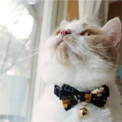Necoichi Japanese Kimono Bow Tie Cotton Breakaway Cat Collar With Bell 13 Necoichi Japanese Kimono Bow Tie Cotton Breakaway Cat Collar With Bell -Meow Meals 137019 PT4. AC SS1800 V1627617399