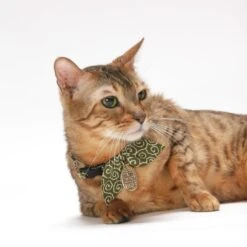 Necoichi Ninja Cotton Breakaway Cat Collar With Bell -Meow Meals 137025 PT5. AC SS1800 V1506717148