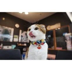 Necoichi Chirimen Daruma Charm Breakaway Cat Collar With Bell 13 Necoichi Chirimen Daruma Charm Breakaway Cat Collar With Bell -Meow Meals 138927 PT4. AC SS1800 V1510603687