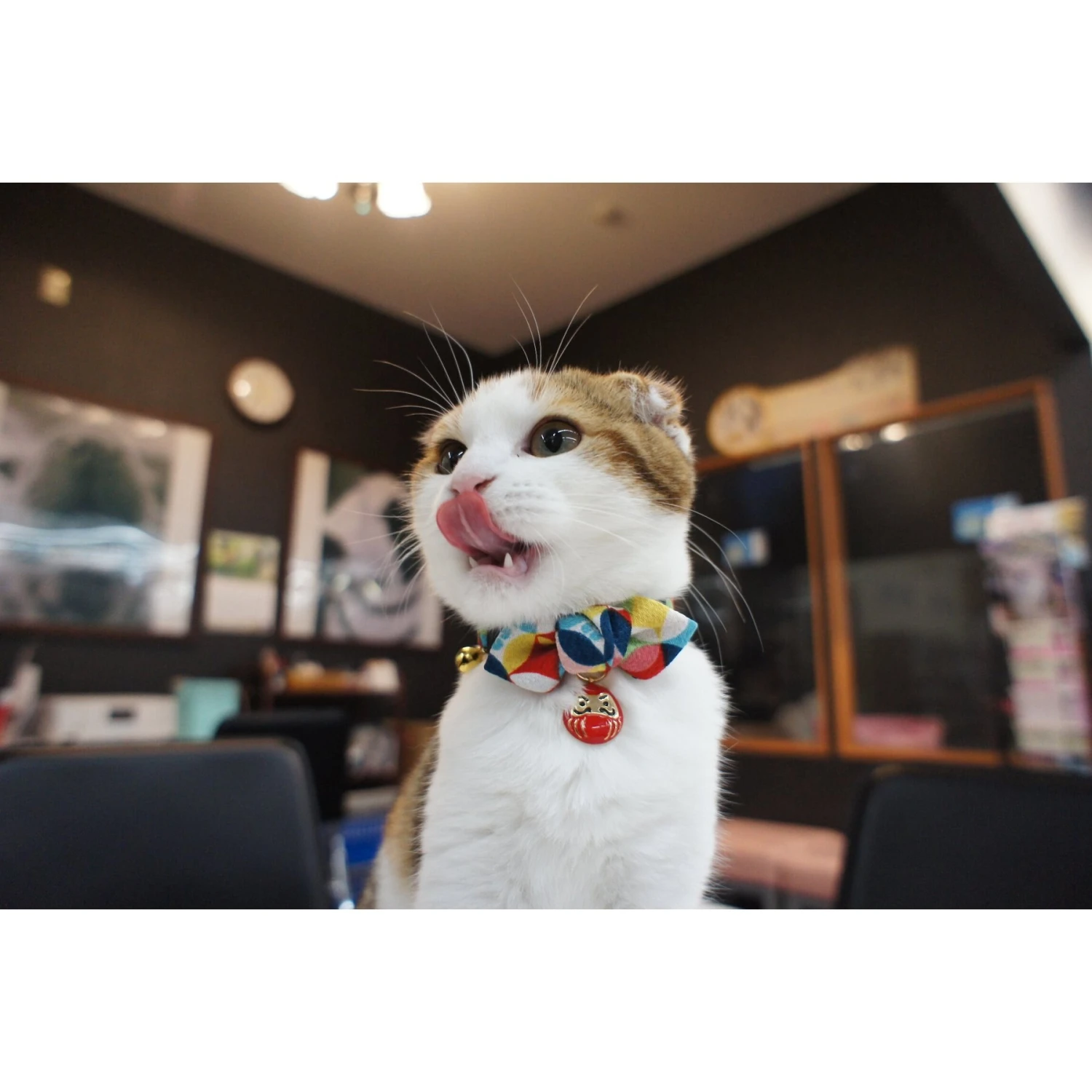 Necoichi Chirimen Daruma Charm Breakaway Cat Collar With Bell 7 Necoichi Chirimen Daruma Charm Breakaway Cat Collar With Bell - Image 5