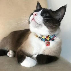 Necoichi Chirimen Daruma Charm Breakaway Cat Collar With Bell 14 Necoichi Chirimen Daruma Charm Breakaway Cat Collar With Bell -Meow Meals 138927 PT5. AC SS1800 V1510603688