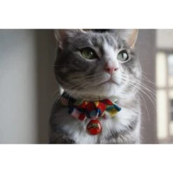 Necoichi Chirimen Daruma Charm Breakaway Cat Collar With Bell 15 Necoichi Chirimen Daruma Charm Breakaway Cat Collar With Bell -Meow Meals 138927 PT6. AC SS1800 V1510603711