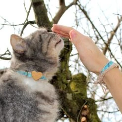 Pettsie Heart Cotton Breakaway Cat Collar With Friendship Bracelet -Meow Meals 139120 PT5. AC SS1800 V1507065052