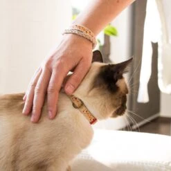 Pettsie Cotton Breakaway Cat Collar With Friendship Bracelet -Meow Meals 139122 PT5. AC SS1800 V1507065003