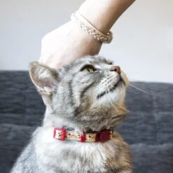 Pettsie Cotton Breakaway Cat Collar With Friendship Bracelet -Meow Meals 139122 PT6. AC SS1800 V1507064998