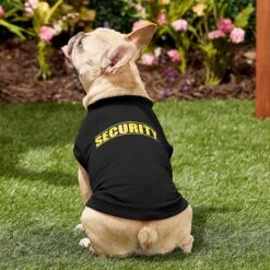 Frisco Security Dog & Cat T-Shirt -Meow Meals 139501 PT4. AC SS1800 V1624606952