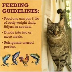 Purina Beyond Grain-Free Pate 4 Flavors Variety Pack Canned Cat Food -Meow Meals 140460 PT8. AC SS1800 V1641260842