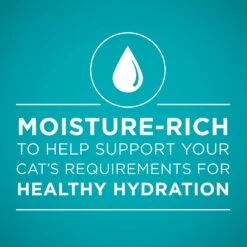 Purina ONE True Instinct 4 Flavors Variety Pack Canned Cat Food -Meow Meals 140464 PT3. AC SS1800 V1641584577